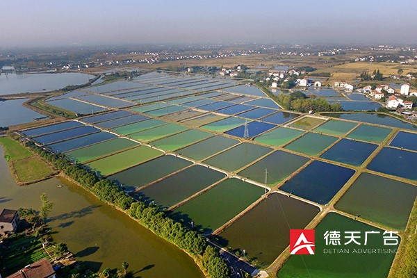 常德市德天廣告有限公司,品牌設(shè)計,活動策劃,影視攝制,廣告設(shè)備租賃,媒體廣告推廣,